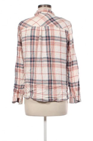Damenbluse Anko, Größe L, Farbe Mehrfarbig, Preis 5,99 €