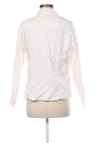 Damenbluse Unbranded, Größe S, Farbe Weiß, Preis 3,99 €