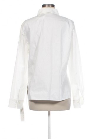 Damenbluse Samoon, Größe L, Farbe Ecru, Preis € 25,99