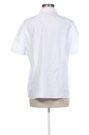 Damska koszula Samoon By Gerry Weber, Rozmiar L, Kolor Biały, Cena 88,99 zł