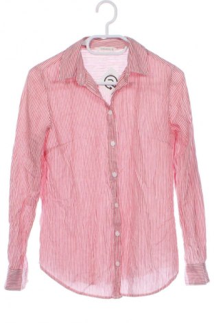 Damenbluse Terranova, Größe XS, Farbe Mehrfarbig, Preis 1,99 €