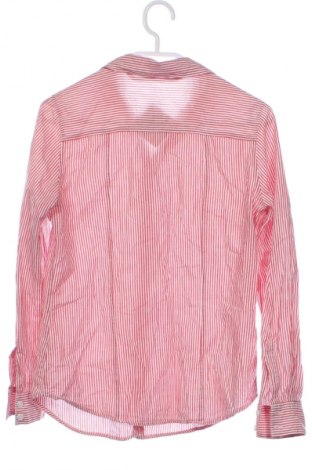 Damenbluse Terranova, Größe XS, Farbe Mehrfarbig, Preis 1,99 €