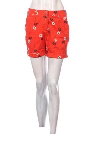 Damen Shorts Next, Größe M, Farbe Mehrfarbig, Preis € 5,99