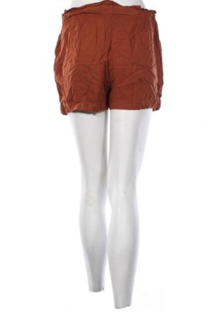 Dámské kraťasy  Piazza Italia, Velikost M, Barva Hnědá, Cena  198,00 Kč