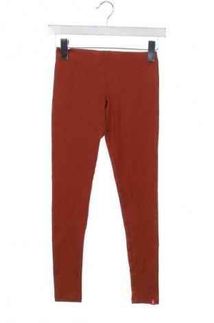 Dámske legíny  Edc By Esprit, Veľkosť XXS, Farba Červená, Cena  1,95 €