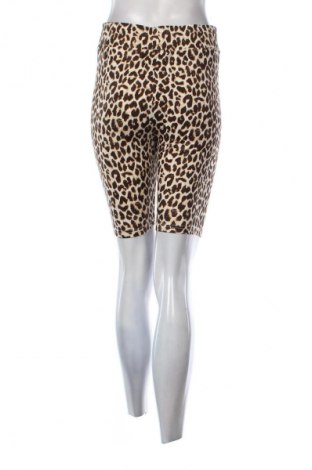 Damskie legginsy Sinsay, Rozmiar XL, Kolor Kolorowy, Cena 29,99 zł