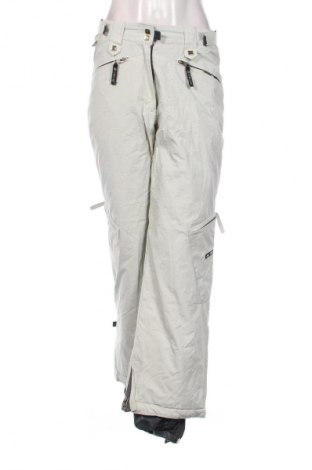 Dámske nohavice pre zimné športy Ride, Veľkosť XL, Farba Sivá, Cena  51,95 €