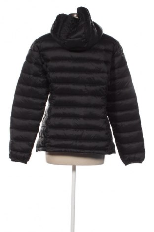 Dámská bunda  Polo Club, Velikost XL, Barva Černá, Cena  2 999,00 Kč