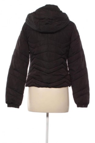 Dámská bunda  Primark, Velikost XS, Barva Černá, Cena  469,00 Kč