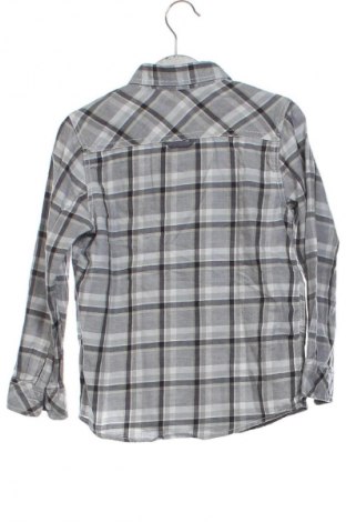 Dziecięca koszula Losan, Rozmiar 3-4y/ 104-110 cm, Kolor Kolorowy, Cena 22,99 zł