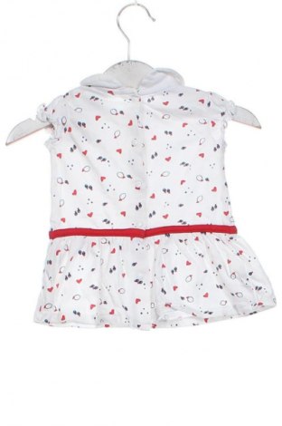 Dziecięca sukienka Fagottino By Oviesse, Rozmiar 2-3m/ 56-62 cm, Kolor Kolorowy, Cena 19,99 zł