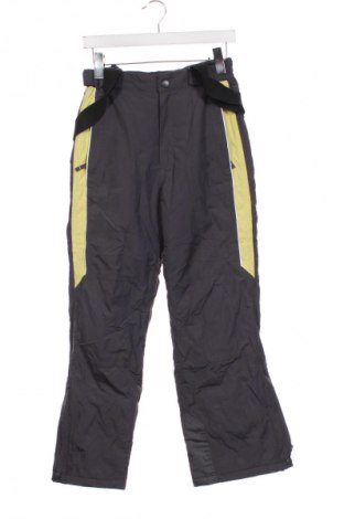 Dziecięcy kombinezon do uprawiania sportów zimowych Crane, Rozmiar 10-11y/ 146-152 cm, Kolor Kolorowy, Cena 181,99 zł