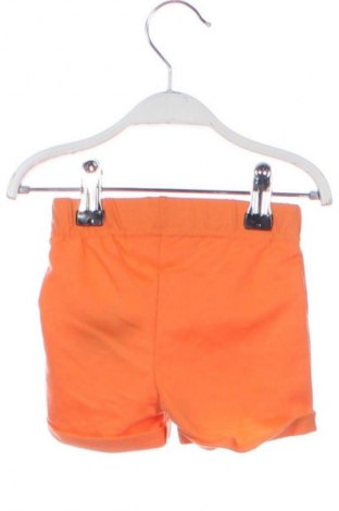 Dziecięce szorty Ergee, Rozmiar 1-2m/ 50-56 cm, Kolor Pomarańczowy, Cena 6,99 zł