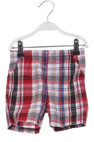 Dziecięce szorty Garanimals, Rozmiar 12-18m/ 80-86 cm, Kolor Kolorowy, Cena 6,99 zł