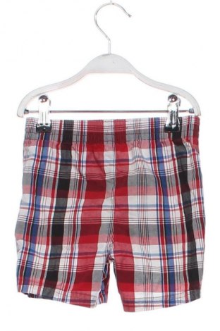 Dziecięce szorty Garanimals, Rozmiar 12-18m/ 80-86 cm, Kolor Kolorowy, Cena 6,99 zł