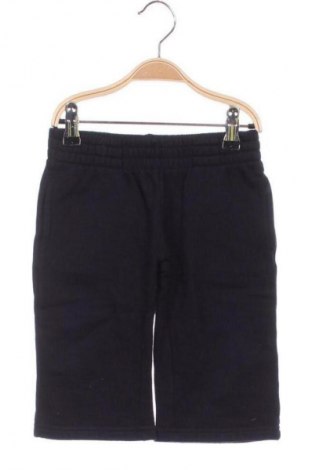 Dziecięce szorty Unbranded, Rozmiar 9-12m/ 74-80 cm, Kolor Niebieski, Cena 6,99 zł