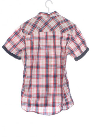 Herrenhemd Tom Tailor, Größe S, Farbe Mehrfarbig, Preis € 5,12