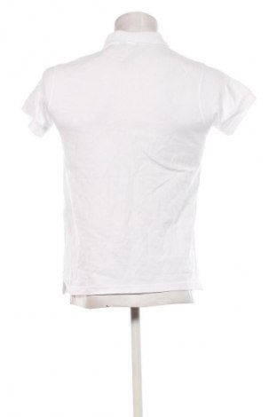 Herren T-Shirt WURTH, Größe S, Farbe Weiß, Preis € 12,99