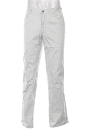 Herrenhose Unbranded, Größe L, Farbe Grau, Preis € 4,99