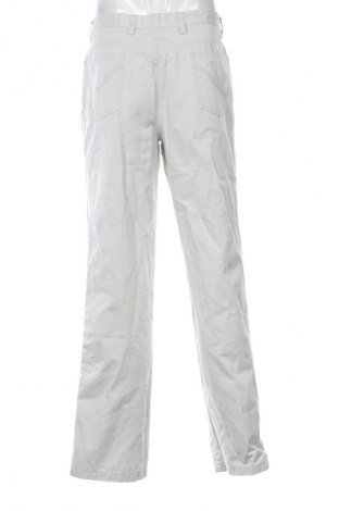 Herrenhose Unbranded, Größe L, Farbe Grau, Preis € 4,99