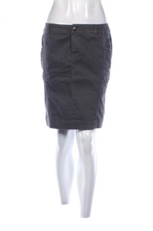 Φούστα Cherokee, Μέγεθος M, Χρώμα Πολύχρωμο, Τιμή 1,99 €