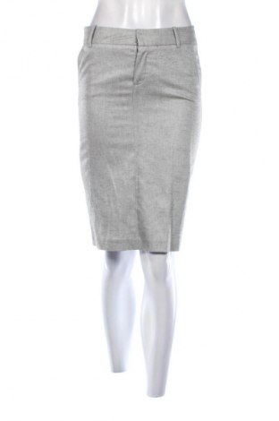 Φούστα Dika, Μέγεθος S, Χρώμα Γκρί, Τιμή 2,99 €