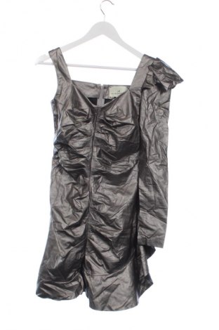 Kleid Arllabel Golden Brand, Größe XS, Farbe Silber, Preis 16,99 €