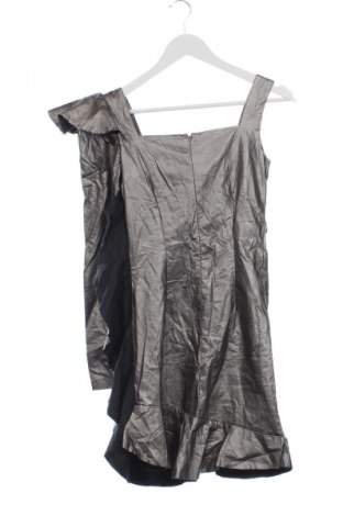 Kleid Arllabel Golden Brand, Größe XS, Farbe Silber, Preis 16,99 €