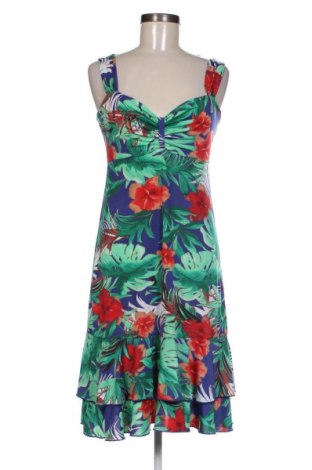 Šaty  Biaggini, Veľkosť XS, Farba Viacfarebná, Cena  8,95 €