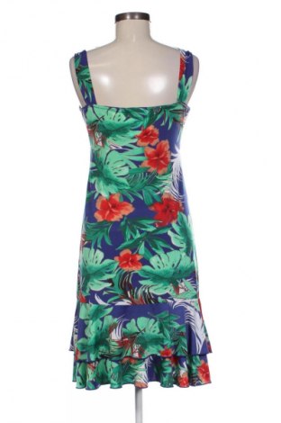 Šaty  Biaggini, Veľkosť XS, Farba Viacfarebná, Cena  8,95 €