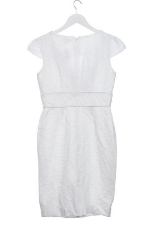 Kleid Tahari, Größe S, Farbe Weiß, Preis € 12,99