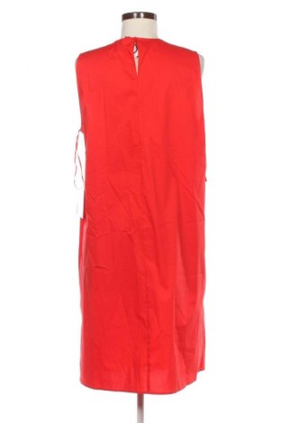 Ruha Taifun, Méret M, Szín Piros, Ár 21 719 Ft