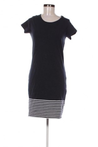 Φόρεμα Tom & Rose, Μέγεθος XL, Χρώμα Πολύχρωμο, Τιμή 17,99 €