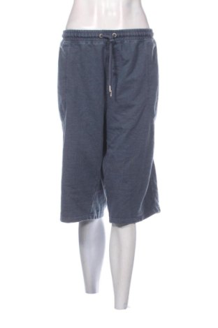 Damen Shorts Unbranded, Größe 3XL, Farbe Blau, Preis 10,96 €, #137872734