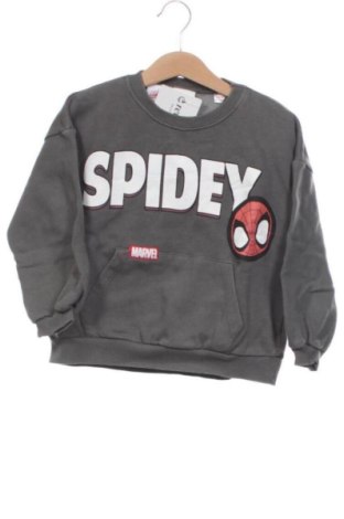 Kinder Shirt Zara, Größe 4-5y/ 110-116 cm, Farbe Grau, Preis € 7,00, #137894541
