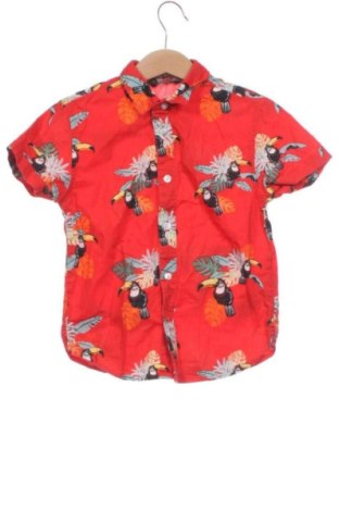 Kinderhemd Primark, Größe 3-4y/ 104-110 cm, Farbe Mehrfarbig, Preis € 6,18, #137893111