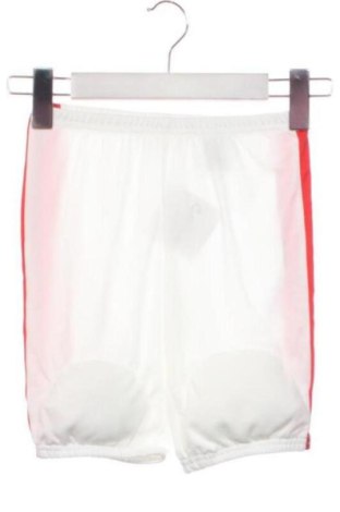 Pantaloni de trening, pentru copii H&M, Mărime 4-5y/ 110-116 cm, Culoare Alb, Preț 57,74 Lei, #137873967