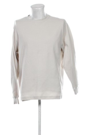 Мъжка блуза Tex, Размер L, Цвят Екрю, Цена 15,82 €, #137871210