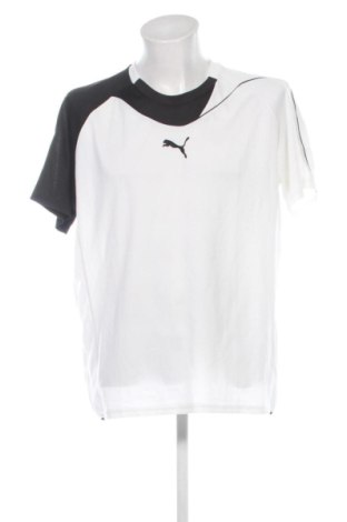 Herren Shirt PUMA, Größe XL, Farbe Mehrfarbig, Preis 16,99 €, #137840130