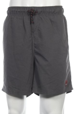Herren Badeanzug Crivit, Größe XL, Farbe Grau, Preis 15,81 €, #137839371