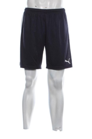 Herren Shorts PUMA, Größe L, Farbe Mehrfarbig, Preis 20,99 €, #137843539