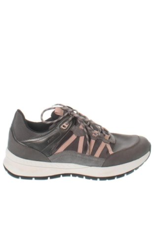 Herrenschuhe Geox, Größe 41, Farbe Grau, Preis 104,00 €, #137861452