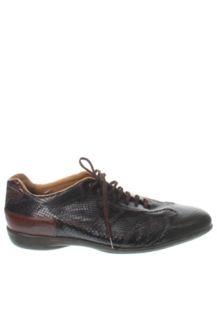 Herrenschuhe Unbranded, Größe 48, Farbe Mehrfarbig, Preis € 56,34, #137873527