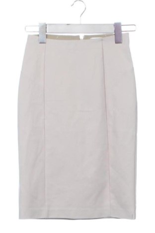 Fustă Patrizia Pepe, Mărime XS, Culoare Bej, Preț 176,56 Lei, #137889485