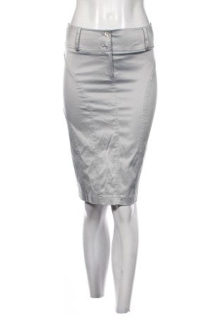 Fustă Unbranded, Mărime S, Culoare Gri, Preț 52,49 Lei, #137899776