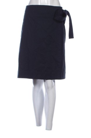 Fustă COS, Mărime M, Culoare Albastru, Preț 113,99 Lei, #137841141