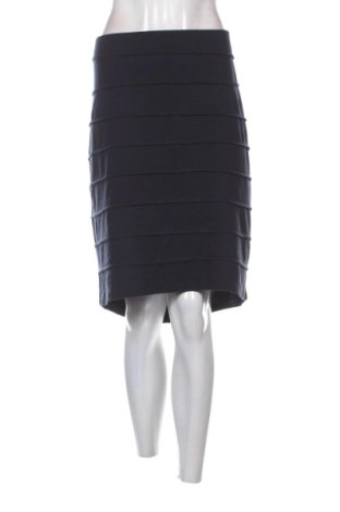 Fustă Betty Barclay, Mărime 3XL, Culoare Albastru, Preț 704,99 Lei, #137863802