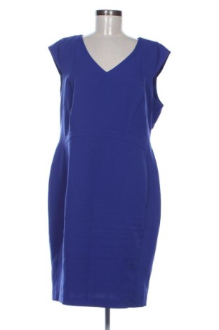 Rochie Dorothy Perkins, Mărime XL, Culoare Albastru, Preț 196,32 Lei, #137883724