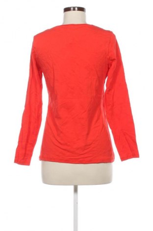 Dámská halenka Cecilia Classics, Velikost M, Barva Vícebarevné, Cena  49,00 Kč