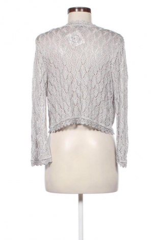 Γυναικεία ζακέτα Debut, Μέγεθος L, Χρώμα Γκρί, Τιμή 4,99 €